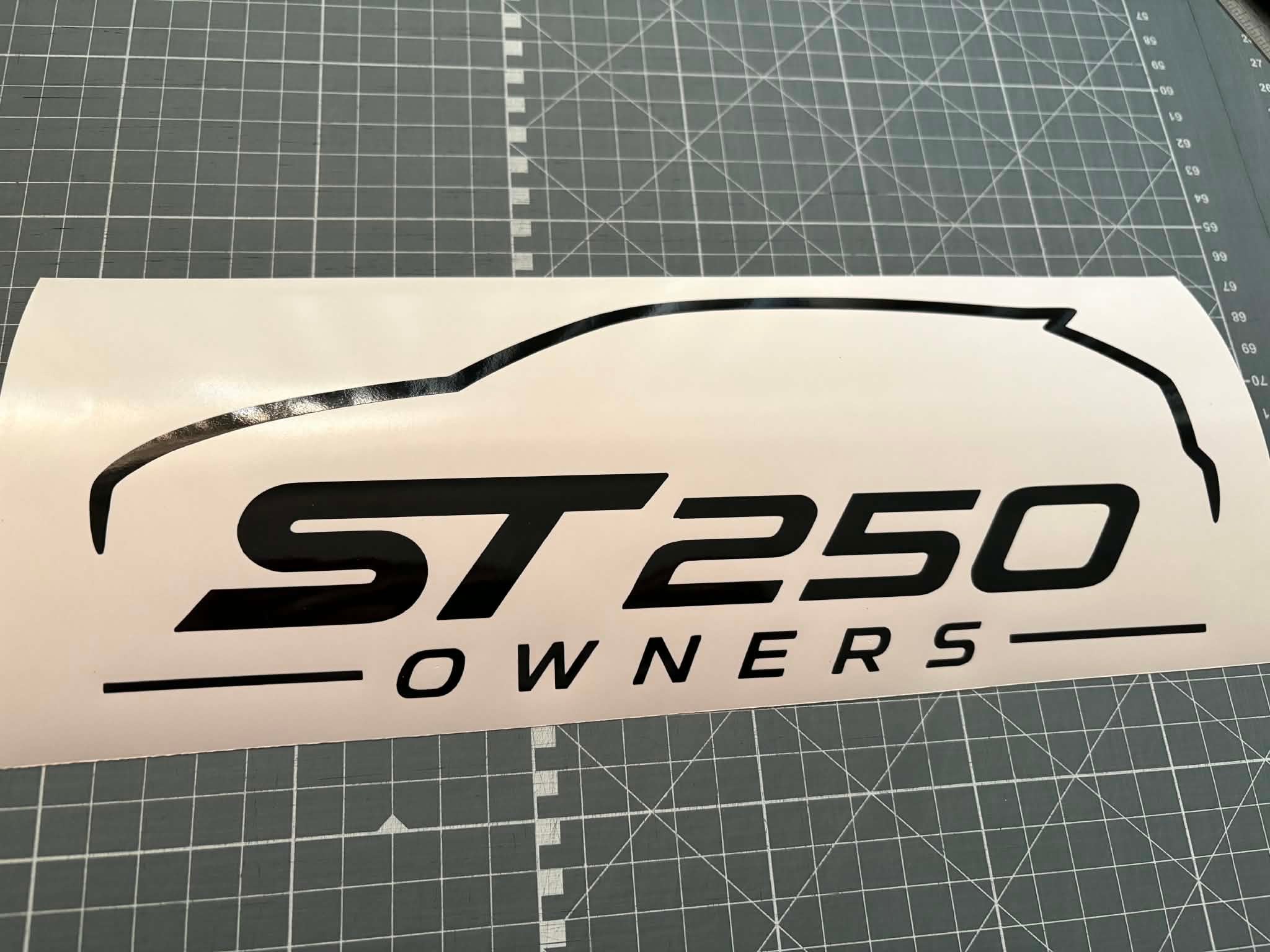 ST250 Owners Vinyl Sticker